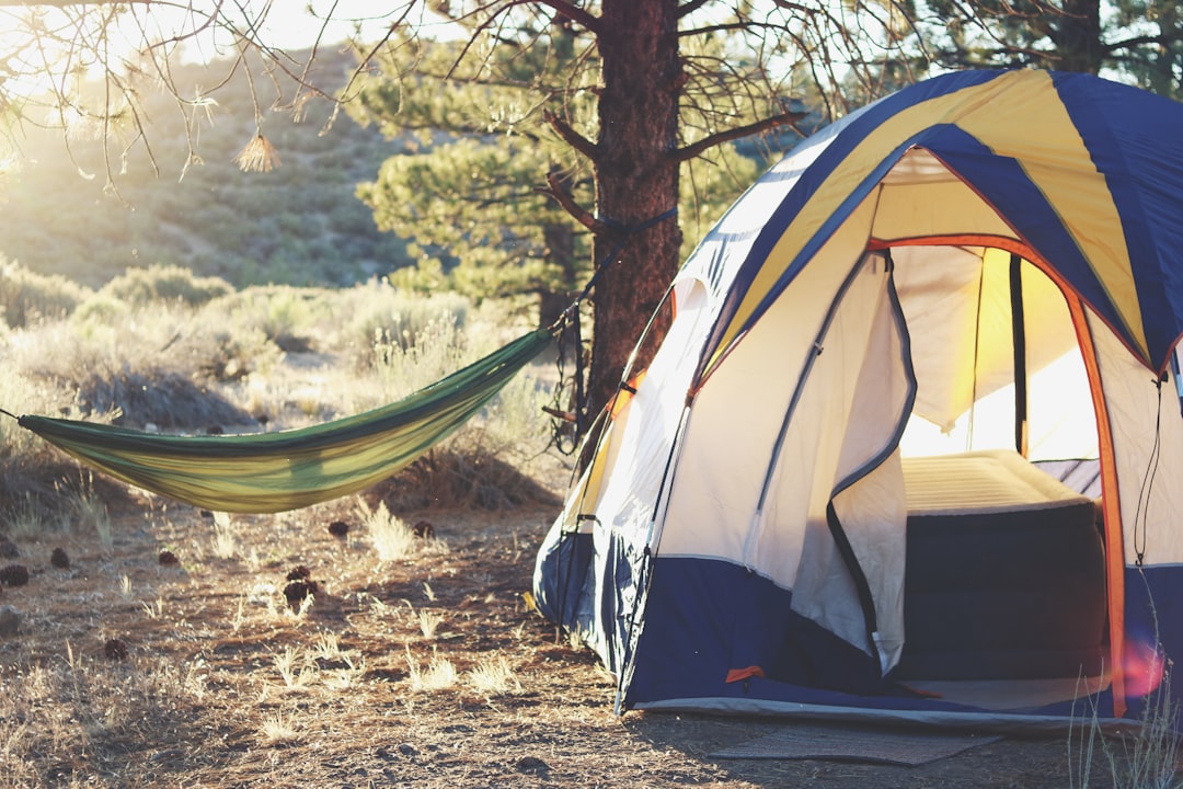Luxury Camping on a Budget: Experience the Great Outdoors in Style