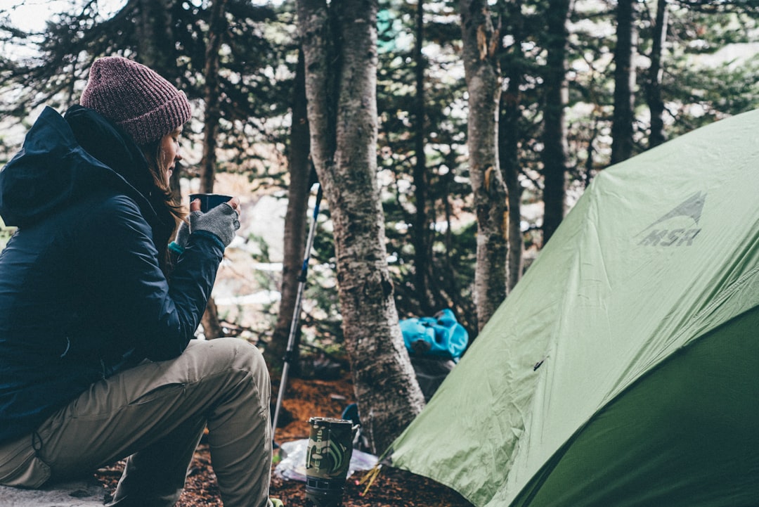 Embrace the Wild: An Adventure Awaits at Every Turn